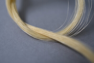 Mèche de cheveux blonds © Anthony SEJOURNE