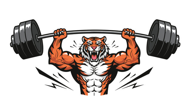 Powerful tiger character with large muscles lifting a heavy iron barbell in a gym as a fitness motivation mascot.
