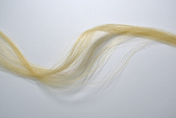 Mèche de cheveux blonds © Anthony SEJOURNE