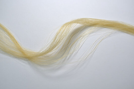 M&egrave;che de cheveux blonds
