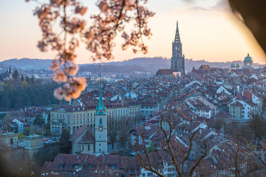 Panoramic view of historic European old town skyline with cathedral spire at sunset, red rooftops and church towers framed by spring blossoms