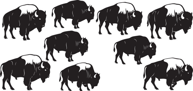 Black and white bison silhouettes walking together freely