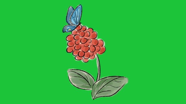 butterfly resting on red berry plant with green leaves simple animation nature scene bright background