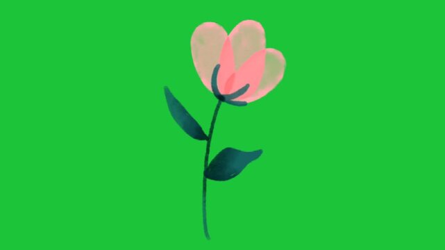 single pink flower with green leaves on bright background minimal animation soft nature design calm mood