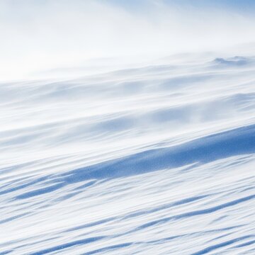 Intense whiteout conditions during a powerful winter storm. Heavy snowfall and strong winds create a dangerous, freezing, and cold environment, wilderness, ice, extreme