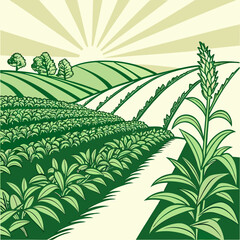 A vibrant stylized landscape depicts rolling green hills fields of crops and a prominent corn stalk in the foreground high quality professional © shahin11