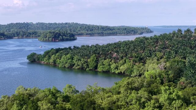 Lush green forest with a river running through it at Iskandar Puteri