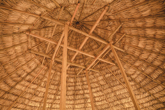 Interior view of a traditional Embera thatched roof made of palm leaves and wooden beams, Chagres National Park, Panama