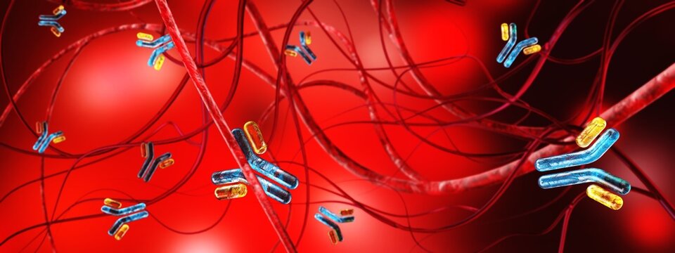 antibody, immunoglobulin, Y-shaped protein produced mainly by plasma cells,   3d rendering