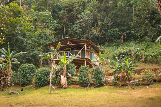 A hut in an Embera indigenous village, Panama, Chagres National Park