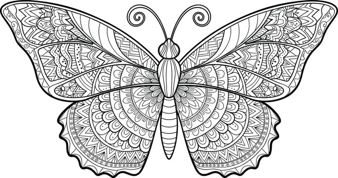 Intricate Mandala Butterfly Vector Illustration with Detailed Zentangle Patterns for Adult Coloring Books Tattoo Art and Boho DecorationIntricate Mandala Butterfly Vector Illustration with Detailed Ze