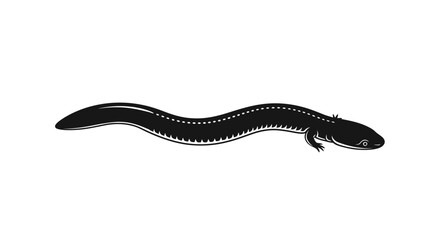 Obraz premium Black Salamander Silhouette on White Background