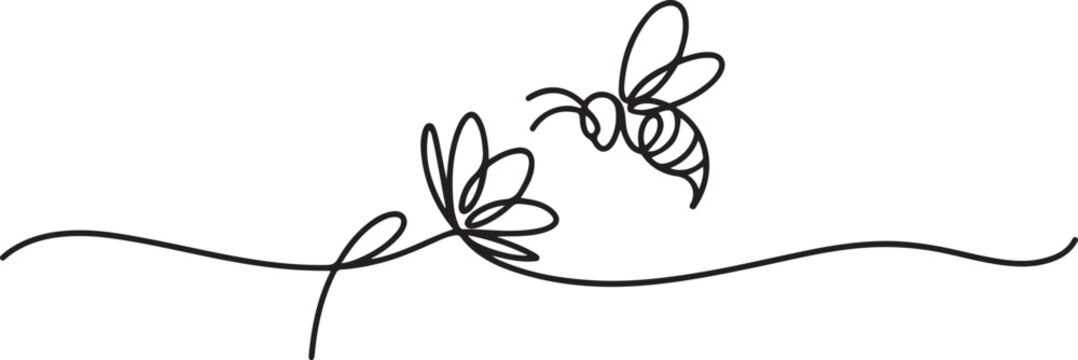 Continuous one line drawing of flaying bee and flower. One line draw graphic design vector