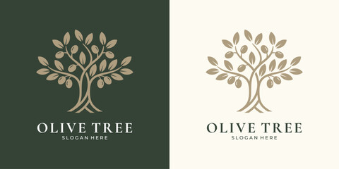 Olive tree logo design with branch and fruit © Alyn