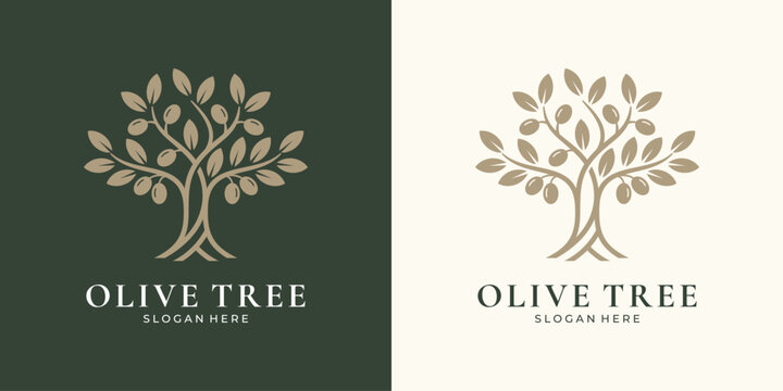 Olive tree logo design with branch and fruit