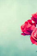 Fototapeta premium A bouquet of bright red roses arranged in a decorative vase. vertical frame