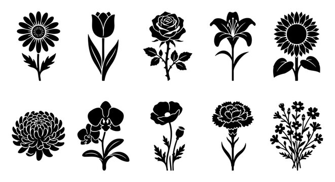 Black floral icons set, 10 flower silhouettes, botanical vector elements