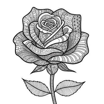 Intricate black and white rose with detailed patterns and leaves flower floral line intricate