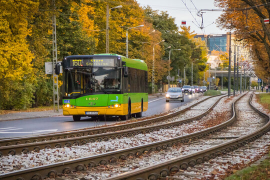 Poznan, Poland - October 13, 2025: Bus Solaris Urbino on street in Poznan among autumn trees. Efficient, ecological, public transport