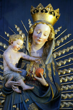 Oliwa cathedral.  Gothic polychrome statue of the Beautiful Madonna of Zary holding Child Jesus and apple. Gdansk. Poland.