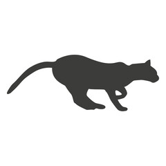 vector illustration of a lynx © Vexels