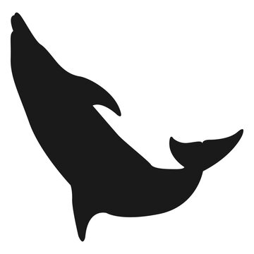 Shark silhouette