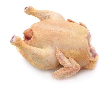 Raw whole chicken carcass on a white background.