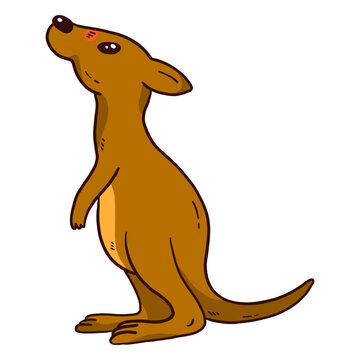 Cute kangaroo baby kangaroo ear tail leg flat