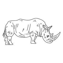 Obraz premium Rhinoceros rhino horn tail fat stroke