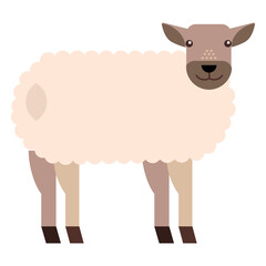 Sheep lamb wool hoof tail flat rounded geometric © Vexels