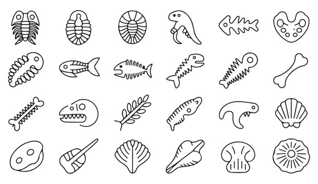 Ancient nature elements collection with prehistoric fossils and shells