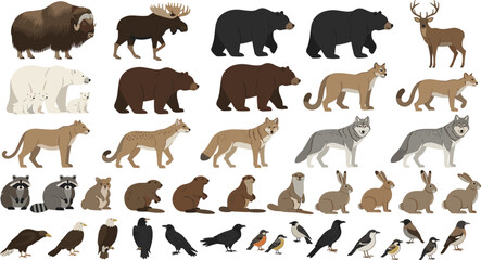 Forest and Arctic Wildlife Animals Collection with Bears, Wolves, Foxes, Deer, Birds and More Detailed Flat Vector Illustrations for Nature and Ecology Design. © MstSuborna