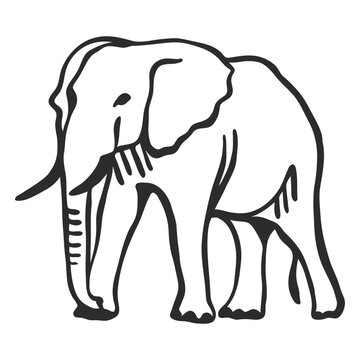 Elephant ear ivory trunk tail flat doodle