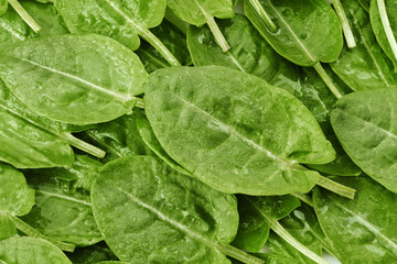 Full frame texture of fresh organic green sorrel leaves with water drops, top view background of raw herbal greenery for healthy food design. © Pavlo Hvozdetskyi
