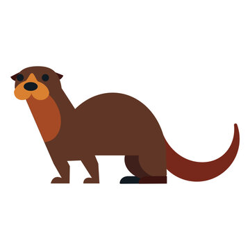 Kalan tail fur muzzle rounded flat