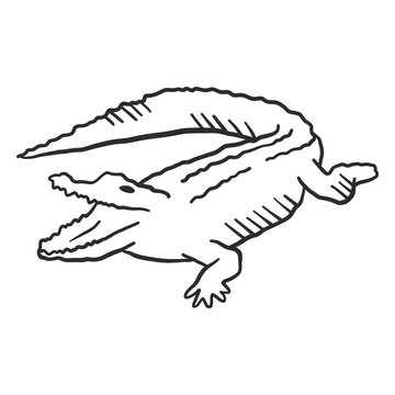 Crocodile alligator jaws tail fang doodle