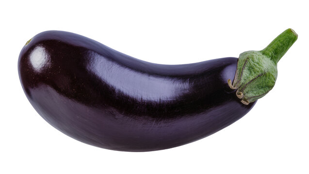 Isolated fresh glossy purple eggplant with green stem, healthy organic vegetable food ingredient