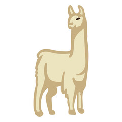 Obraz premium Flat llama standing