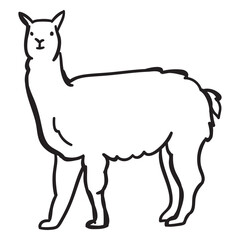 Obraz premium Stroke standing llama