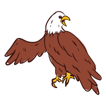 Eagle shriek hand drawn