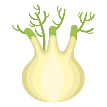 Fenel vegetable flat