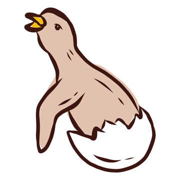 Eaglet hatching hand drawn