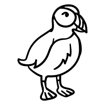 Atlantic puffin seabird stroke