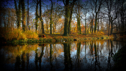 Obraz premium Autumn in the park