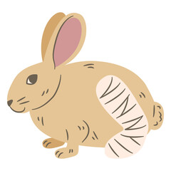 Fototapeta premium Bunny with Injured Leg