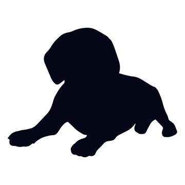 Silhouette of a dog laying down
