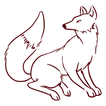 Drawing of a fox sitting