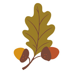 Leaf with acorns © Vexels