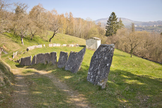 Pietra della lessinia o di Prun, calcareo marmosa su sentiero di montagna