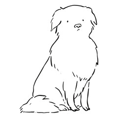Fototapeta na wymiar Cute dog with an expectant look